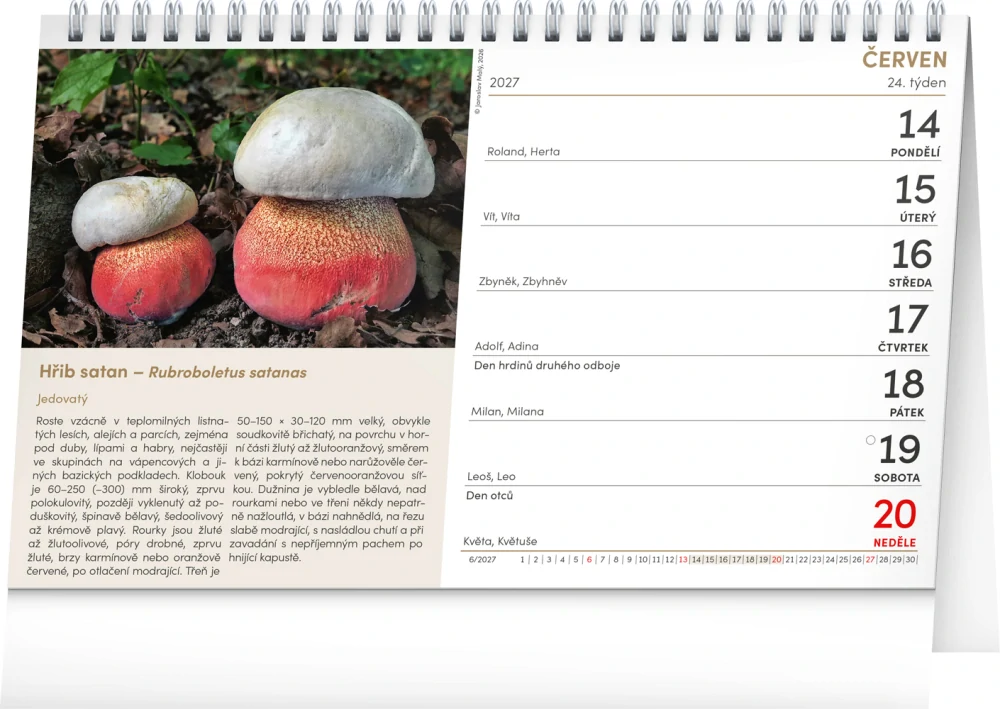 Kalendář stolní Houby PGS-36942
