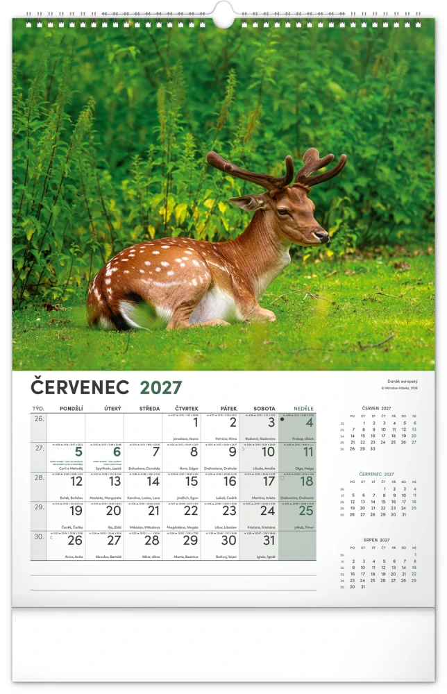 Kalendář nástěnný Myslivecký PGN-36860
