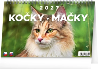 Kalendář stolní Kočky PGS-36875